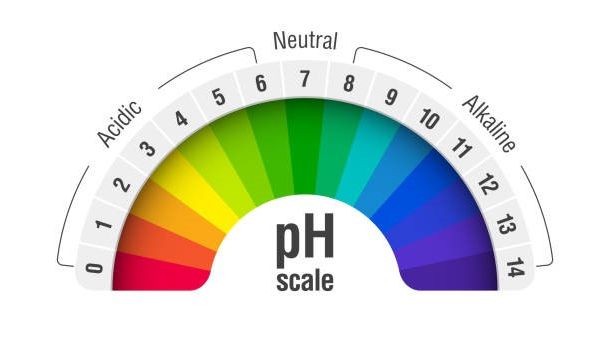 pH Testing